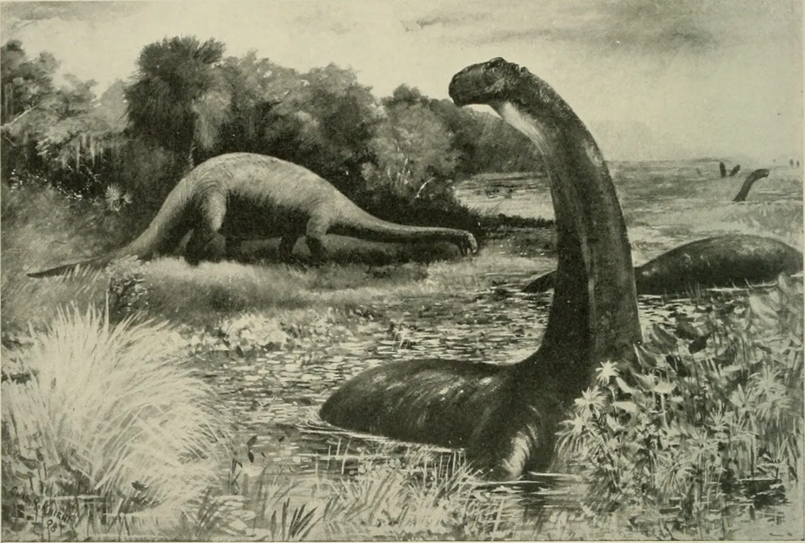 1. Dinosaurs were all giant, lumbering, swamp monsters (By Internet Archive Book Images, No restrictions)