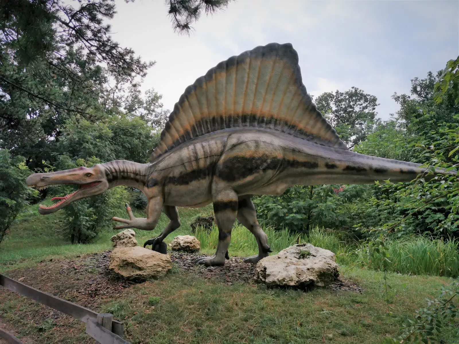 Spinosaurus: The Aquatic Predator With a Sail (Image Credits: Wikimedia)