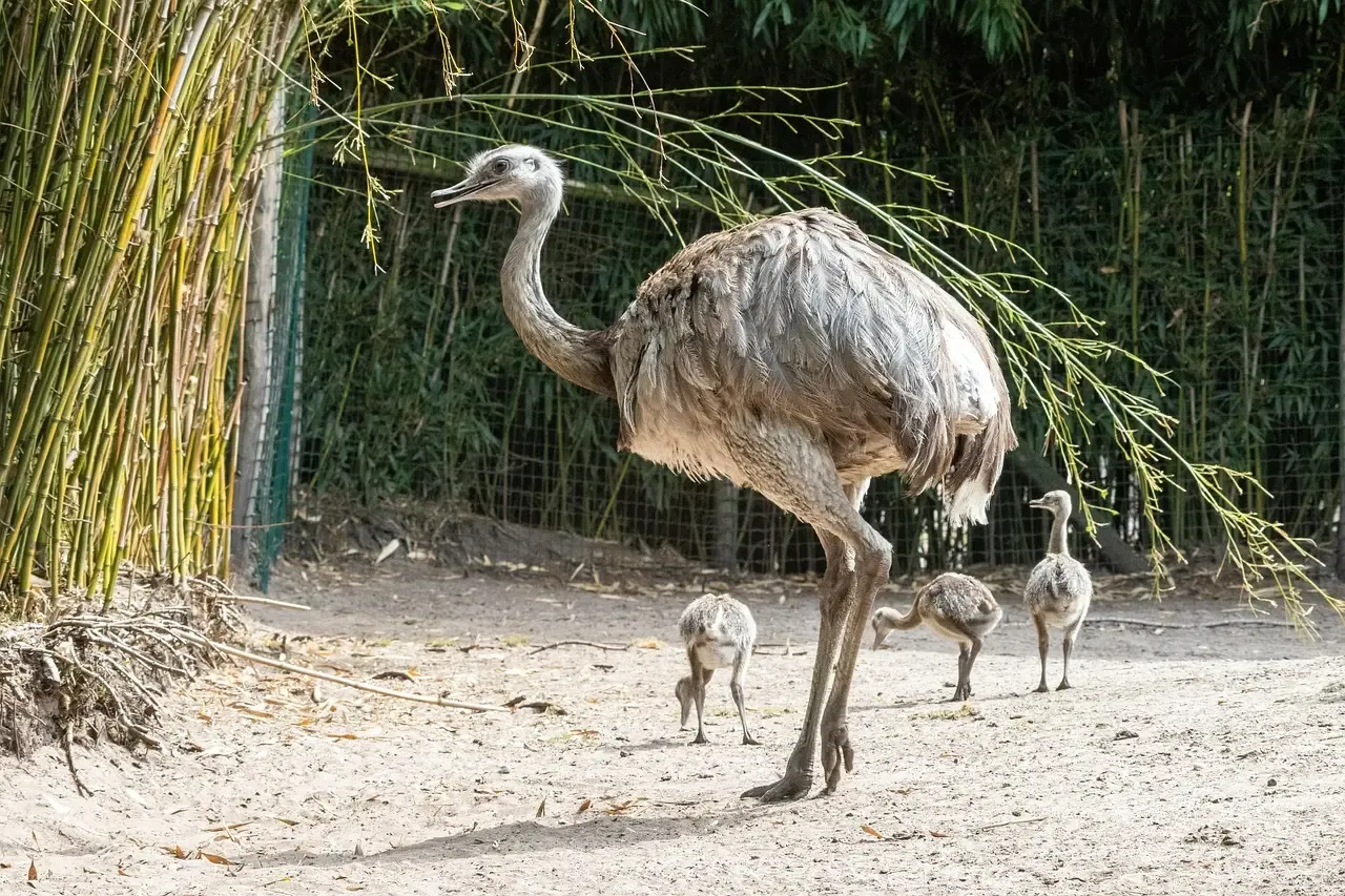 #7 Ancient-Style Reproductive Strategies and Shared Parenting (Image Credits: Pixabay)