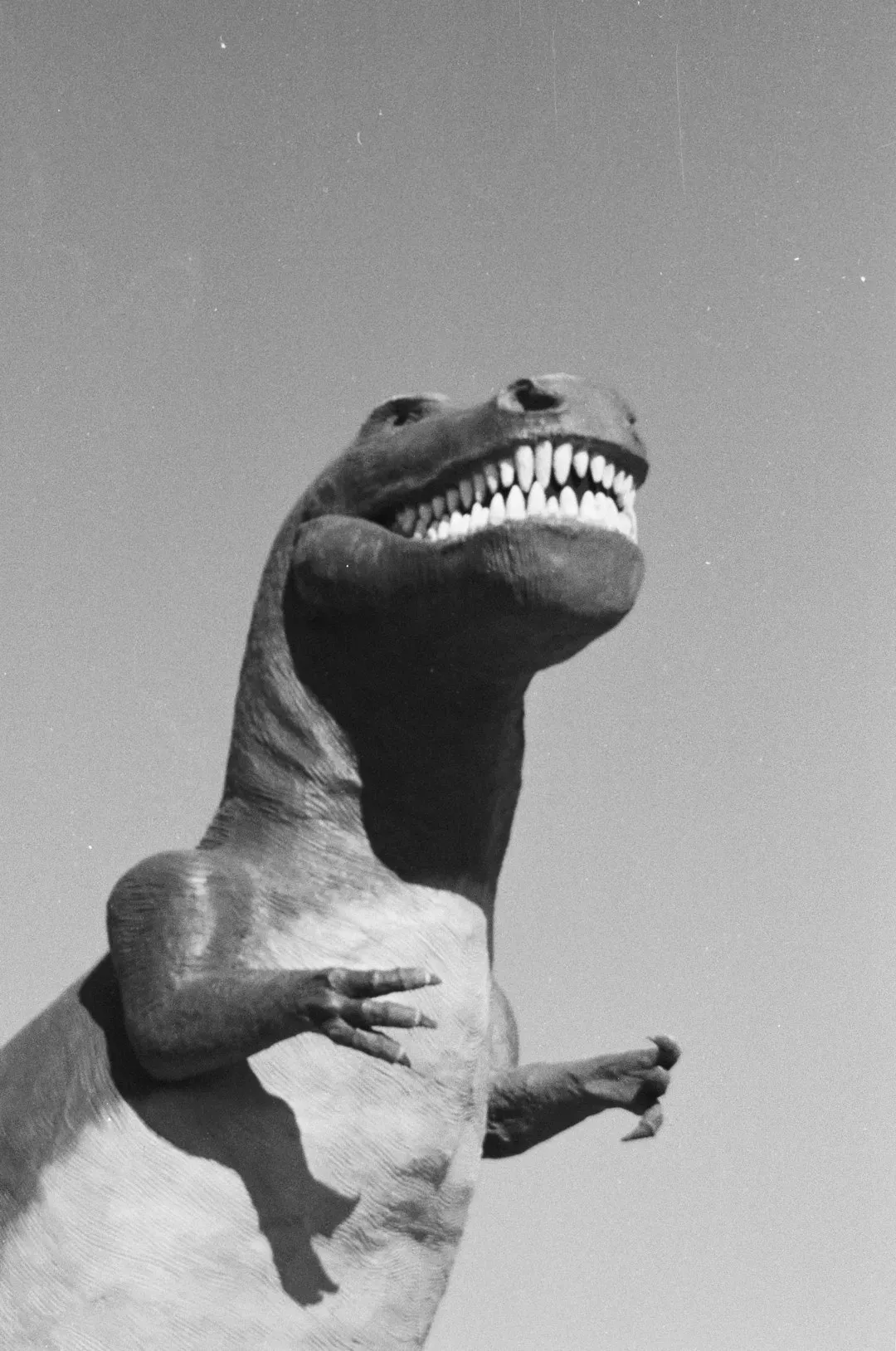 The First Movie Dinosaurs: Silent Monsters In a Noisy New Medium (Image Credits: Unsplash)