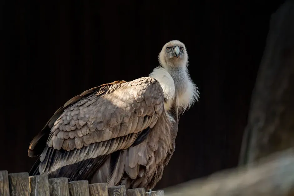 Why Birds Survived When Other Dinosaurs Did Not (Image Credits: Pexels)