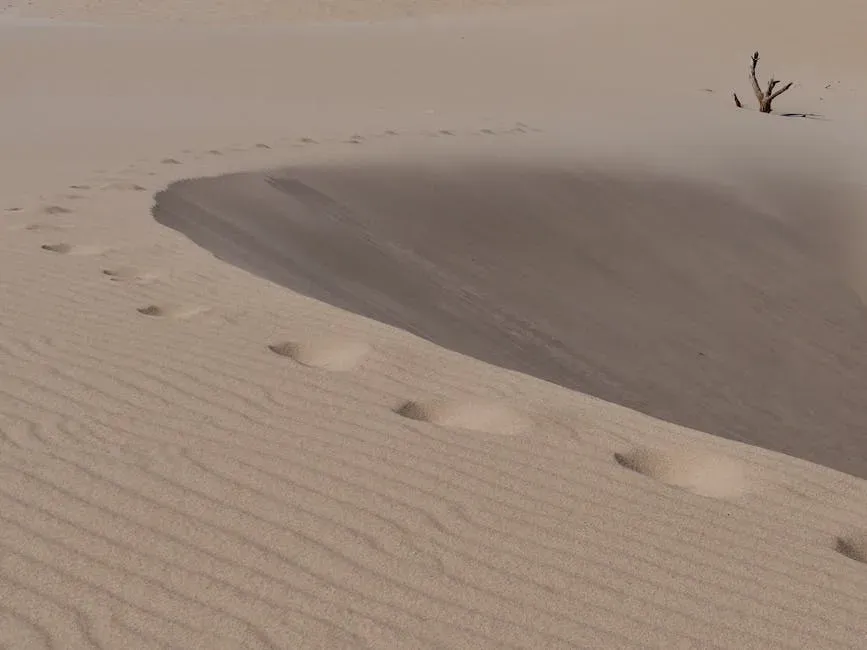 Ice Age Winds Building Seas of Sand and Loess (Image Credits: Pexels)