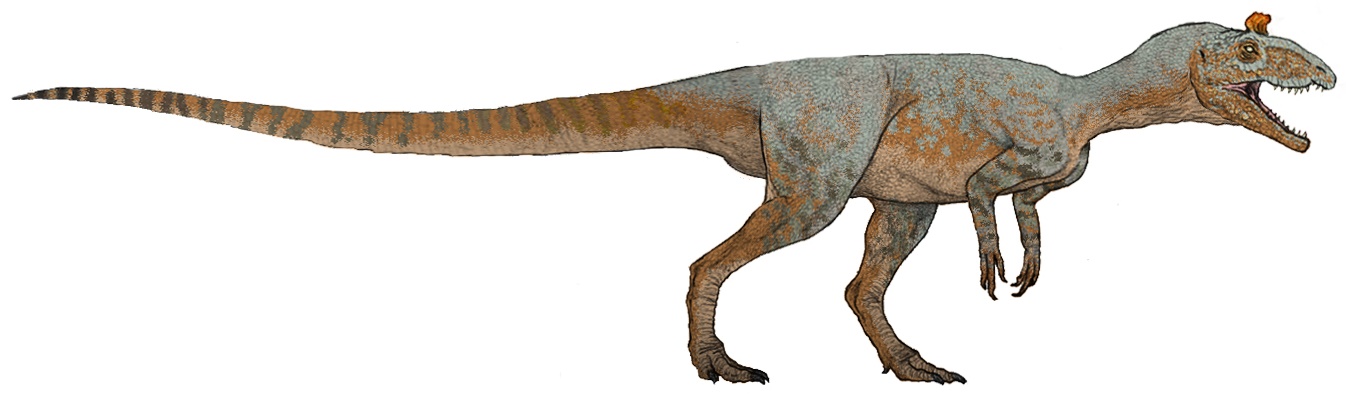 Cryolophosaurus: The Elvis of Antarctica (Image Credits: Wikimedia)