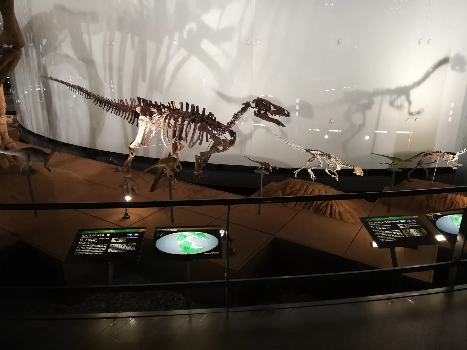 2. Many Dinosaur Skeletons Are Mosaics, Not Single Animals (By 先従隗始, CC0)