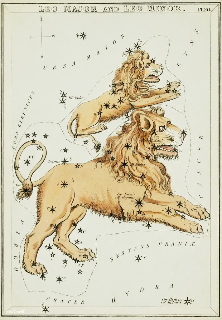 The Big Beasts: Bulls, Lions, and Other Familiar Zodiac Faces (Free Public Domain Illustrations by rawpixel, Flickr, CC BY 2.0)