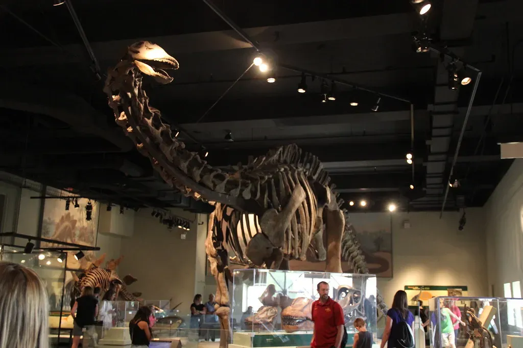 The Rule That Made Brontosaurus Vanish (Image Credits: Flickr)