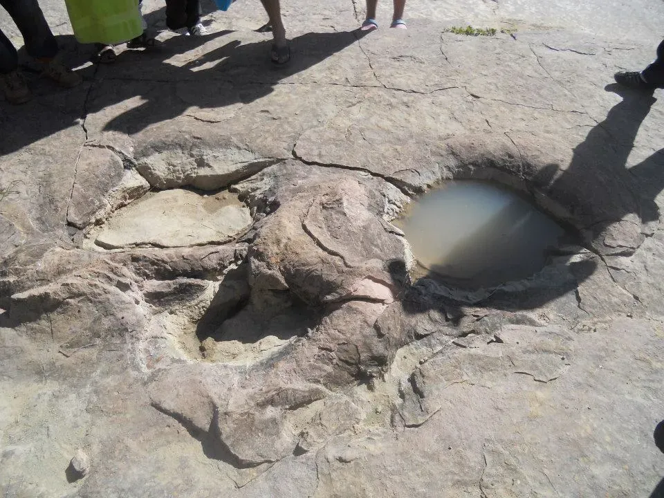 4. The World's Largest Dinosaur Tracksite Found in Bolivia (By Valerojascastilloumss.practicaI-B, CC BY-SA 3.0)