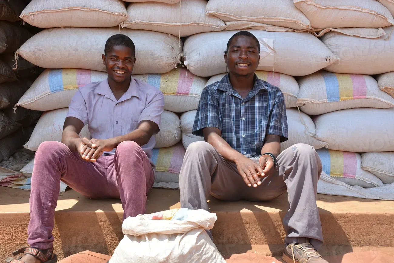 Transforming Adversity Into Growth (Image Credits: Rawpixel)