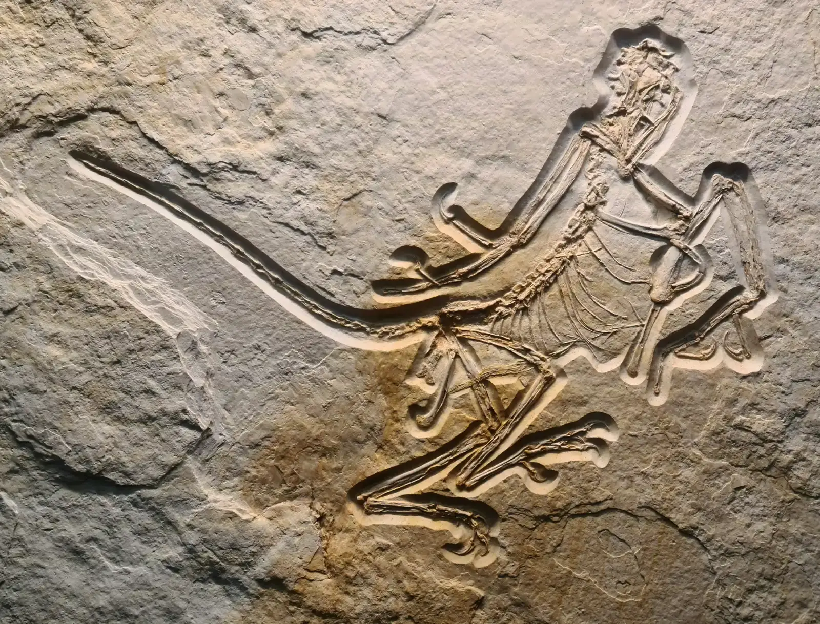 Conclusion: The Dinosaur You Know Is a Fossil of an Idea (Image Credits: Wikimedia)