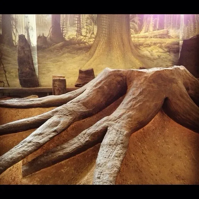 4. Lepidodendron: The Giant Scale Tree That Became Your Coal (Image Credits: Flickr)