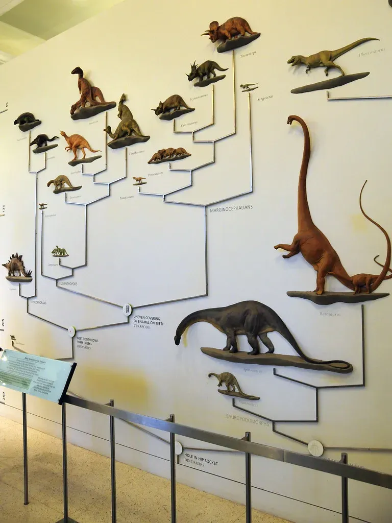 1. The 130-Year-Old Family Tree Gets Flipped Upside Down (VSmithUK, Flickr, CC BY 2.0)