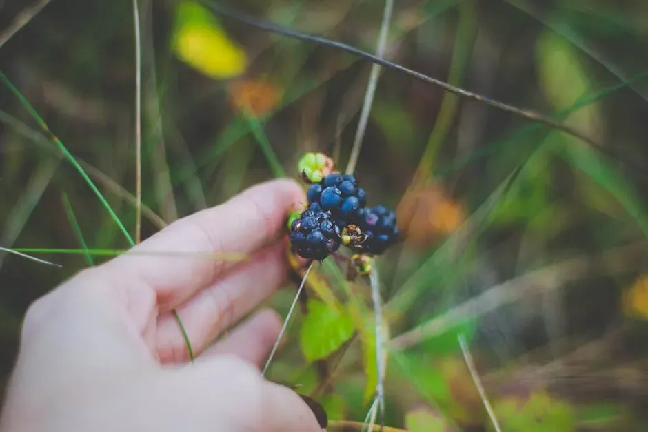 Morning Foraging: Turning Curiosity Into Breakfast (Image Credits: Pexels)