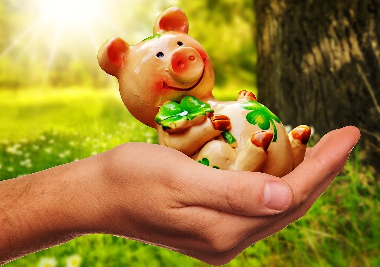 The Pig: Your Kind and Nurturing Perfect Partner (Image Credits: Pixabay)