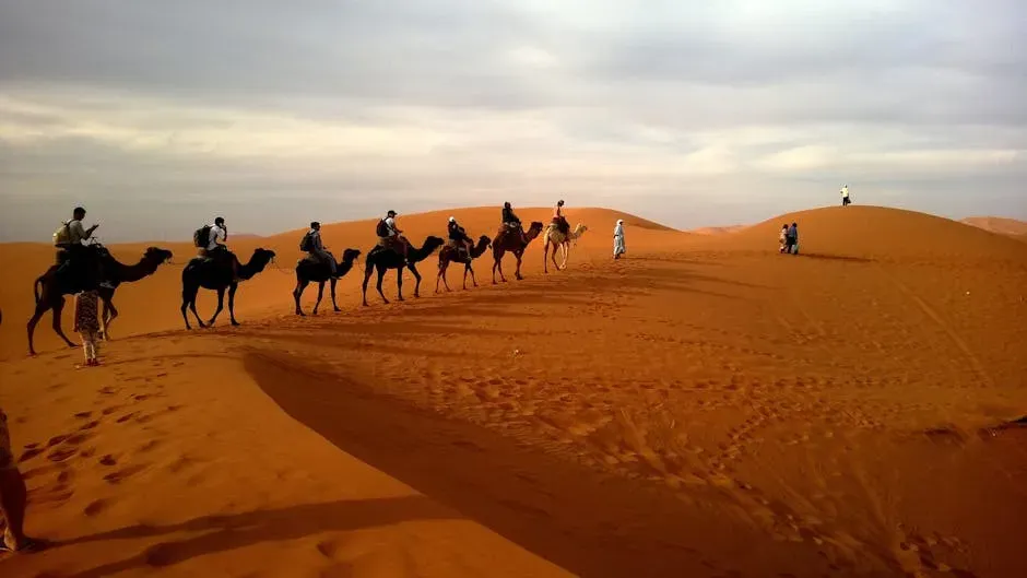 Bridging Deserts and Mountains: Overland Routes and the Power of Caravans (Image Credits: Pexels)