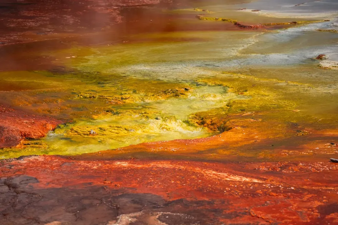 A World of Microbial Mats and Early Land Invaders (Image Credits: Unsplash)