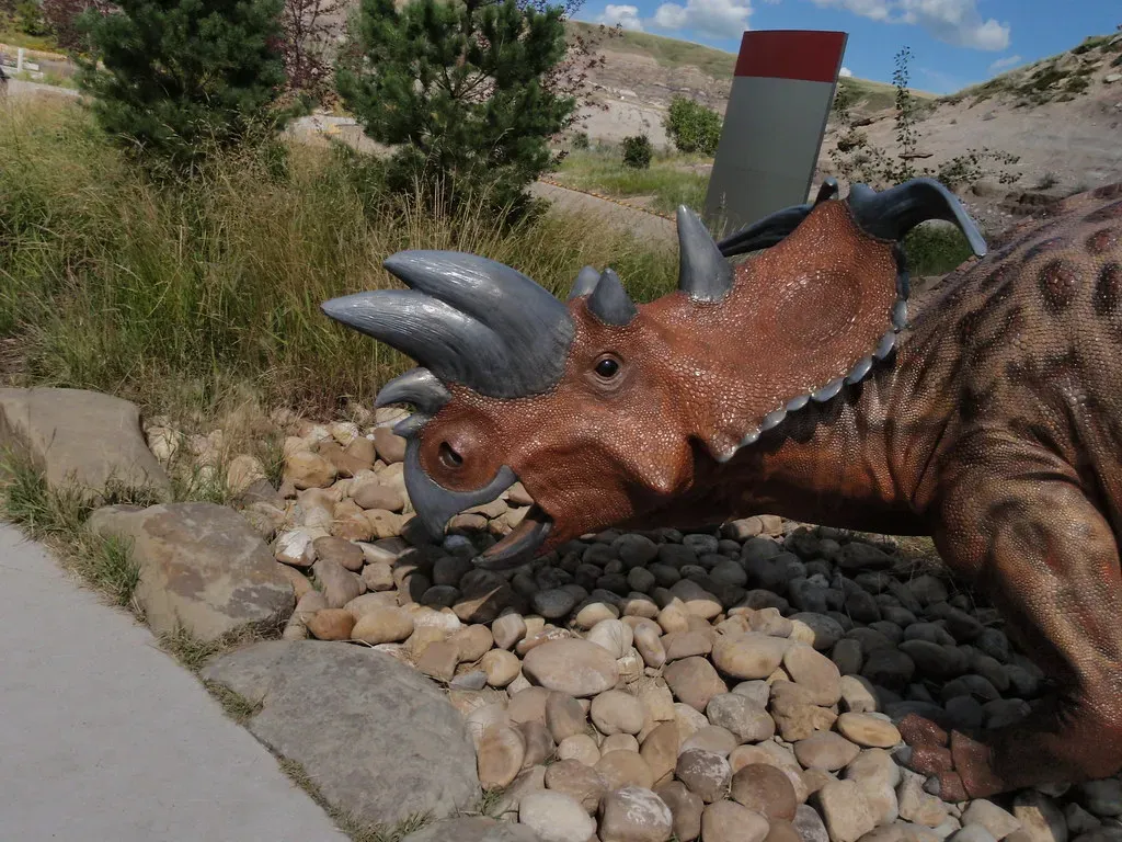 Body Language, Horns, and Frills: The Unspoken Conversation (Monado, Flickr, CC BY-SA 2.0)