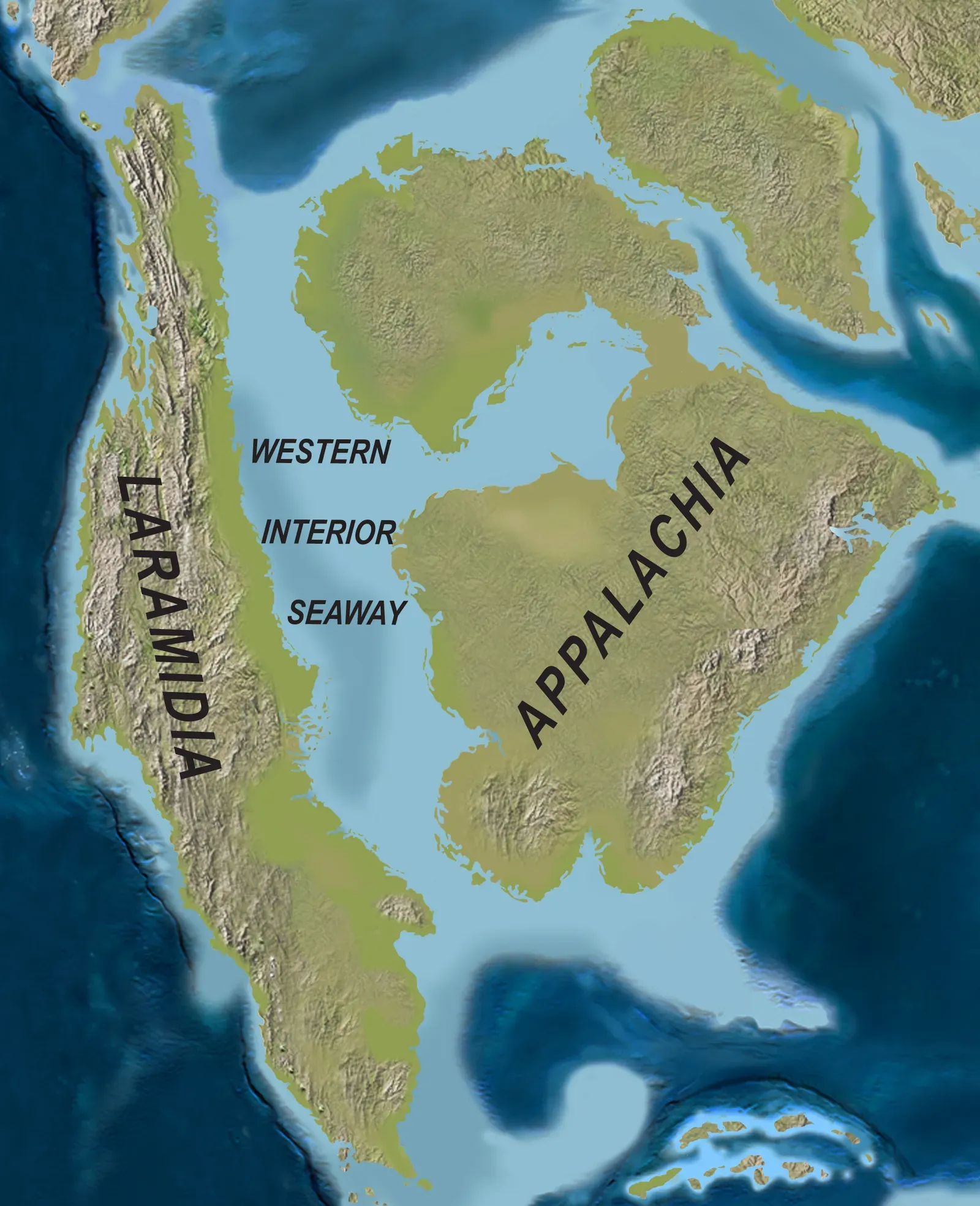 You Live on the Floor of an Ancient Ocean (By Scott D. Sampson, Mark A. Loewen, Andrew A. Farke, Eric M. Roberts, Catherine A. Forster, Joshua A. Smith, Alan L. Titus, CC BY 4.0)