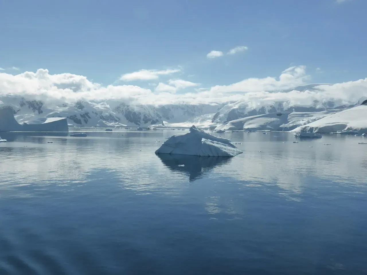 9. The Antarctic Ocean Biological Pump Theory: Tiny Algae That Helped Freeze the World (Image Credits: Pixabay)