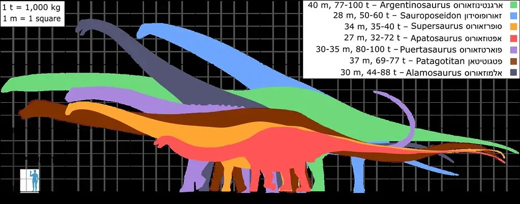 5. What Was the Biggest Dinosaur That Ever Lived? (Image Credits: Flickr)