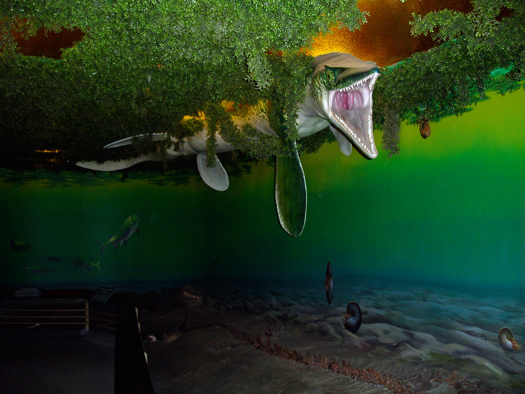 Marine Reptiles: Louisiana's Real Prehistoric Giants (Image Credits: Flickr)