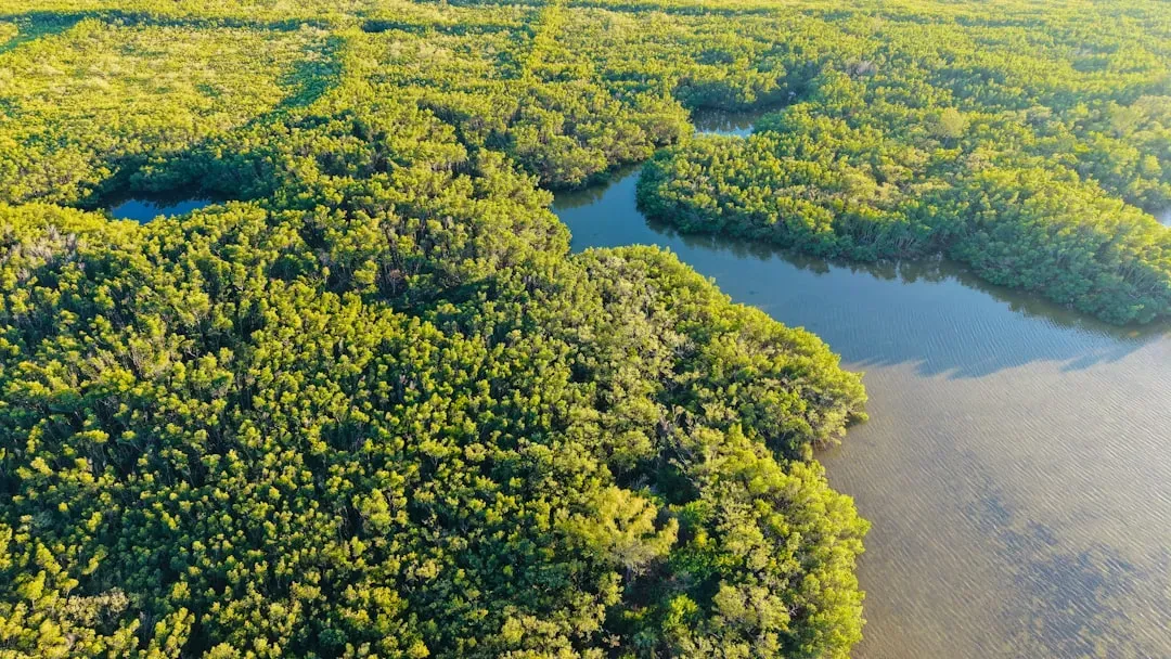 Conclusion (Image Credits: Unsplash)