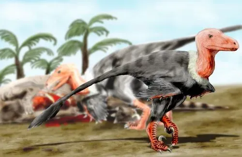 If You Are Curious and Socially Sharp: The Deinonychus Pack-Minded Ally (By Nobu Tamura (http://spinops.blogspot.com), CC BY 3.0)