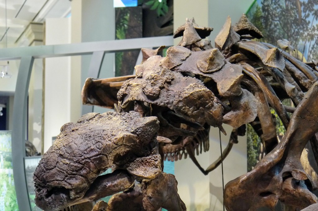 Conclusion (Image Credits: Flickr)