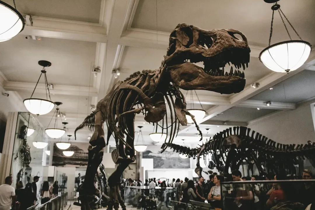 American Museum of Natural History, New York City, USA (Image Credits: Unsplash)