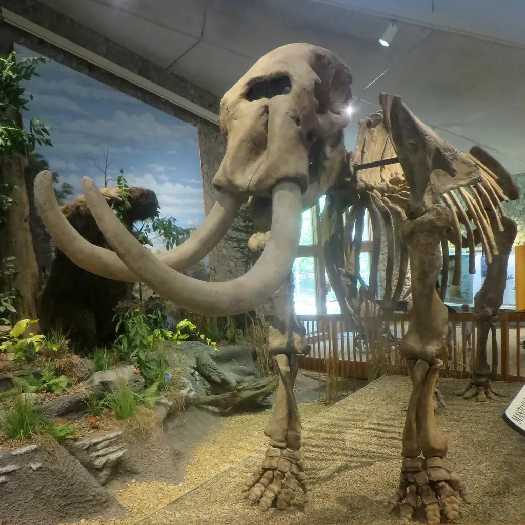 The Nutrient Highway That Vanished (Image Credits: Flickr)