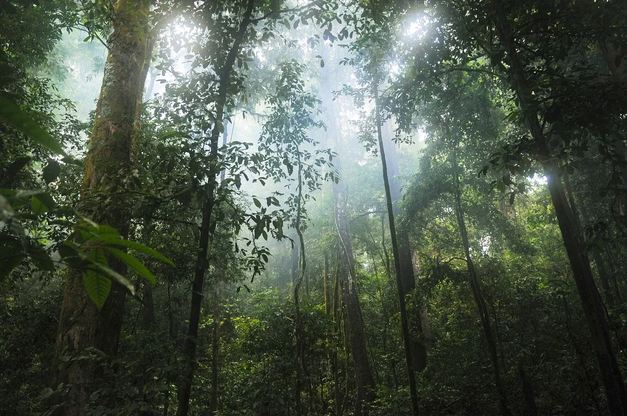 Geography Gone Wild: Cultures and Landscapes That Could Never Coexist (Image Credits: Pixabay)