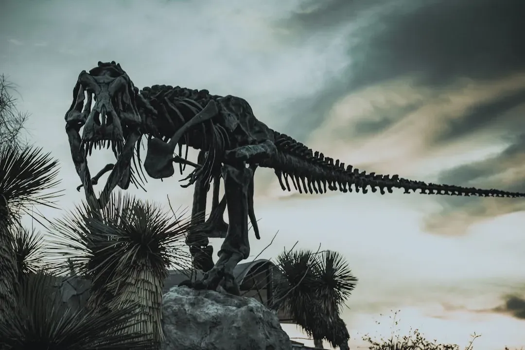 Extinction, Reset, Repeat: How Catastrophes Clear the Stage (Image Credits: Unsplash)