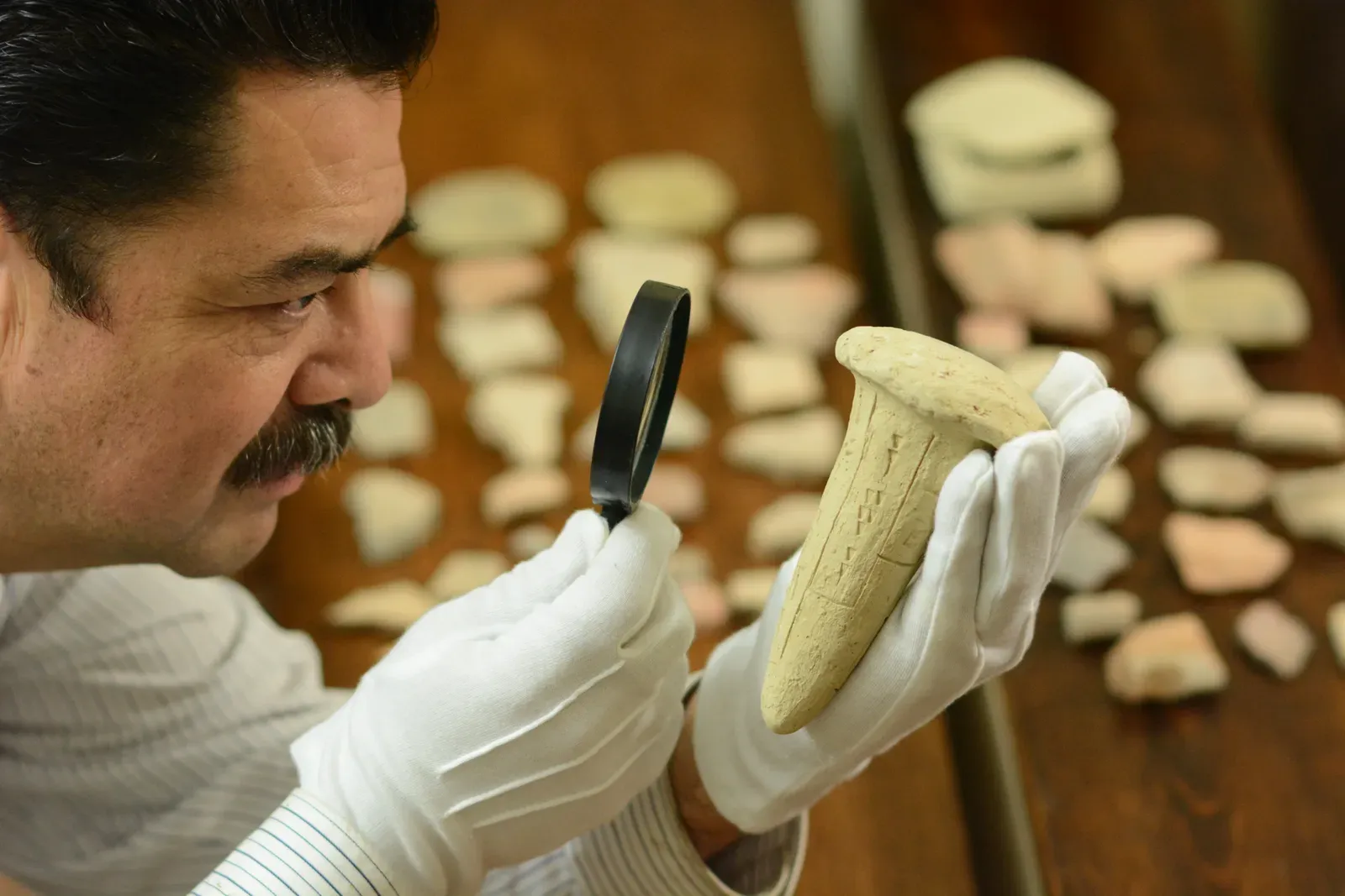 You Have an Interest in Ancient History That Borders on Obsession (Image Credits: Wikimedia)