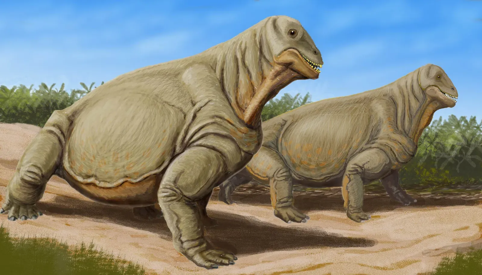 Capricorn: Moschops (Mistaken for a Grumpy Prehistoric Cow‑Hippo Hybrid) (dmitrchel@mail.ru, CC BY 3.0)