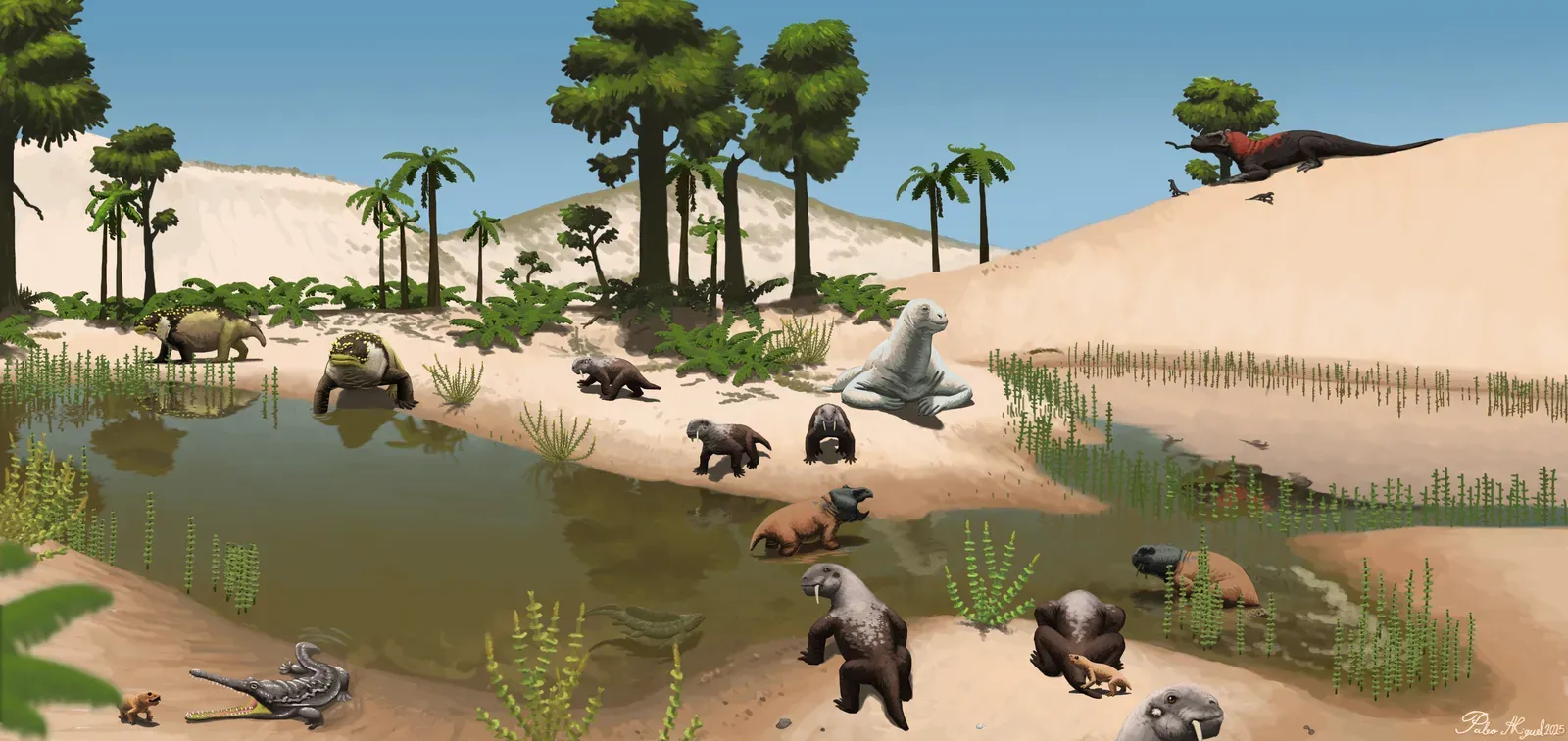 Pampaphoneus Biccai: South America's Forgotten Terror (Image Credits: Wikimedia)