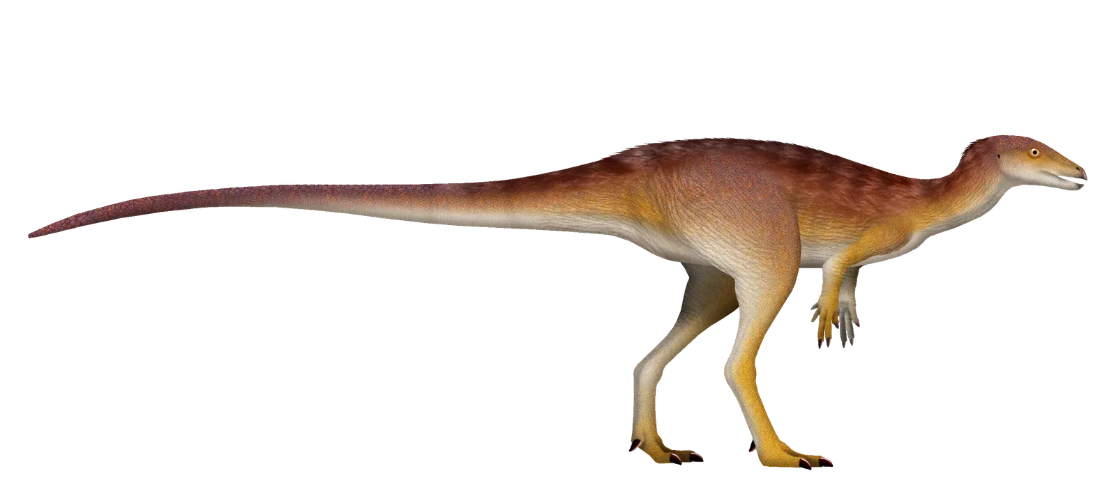 New Species, New Clues: The Discovery of Archaeocursor asiaticus (Image Credits: Wikimedia)