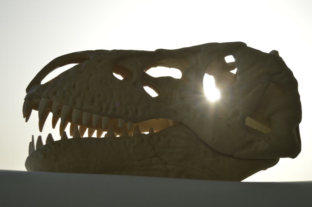 The controversial claim that started it all (Image Credits: Unsplash)