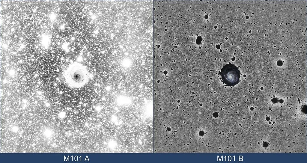 You Start With What You Cannot See: Dark Matter’s Invisible Skeleton (Image Credits: Flickr)