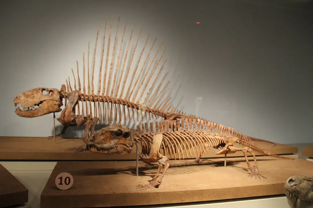 Conclusion: What the Great Dying Teaches Us Today (Image Credits: Flickr)