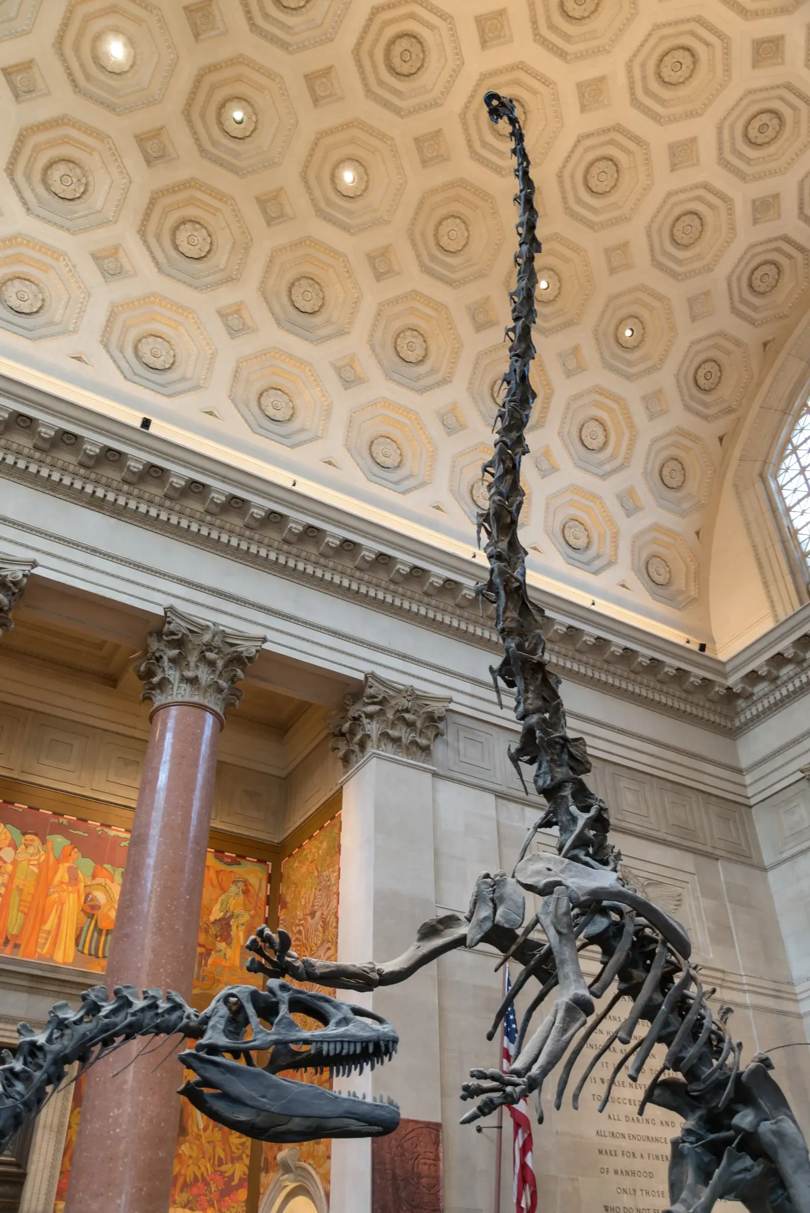 #6 - An 80-Foot Dinosaur Was Scattered Across a Storage Room (By Giorgio Galeotti, CC BY 4.0)