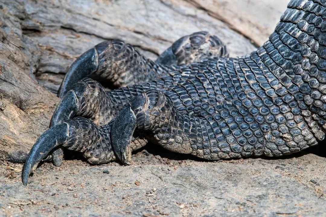 7. Therizinosaurus: The Giant Herbivore With Murder Claws (Image Credits: Unsplash)