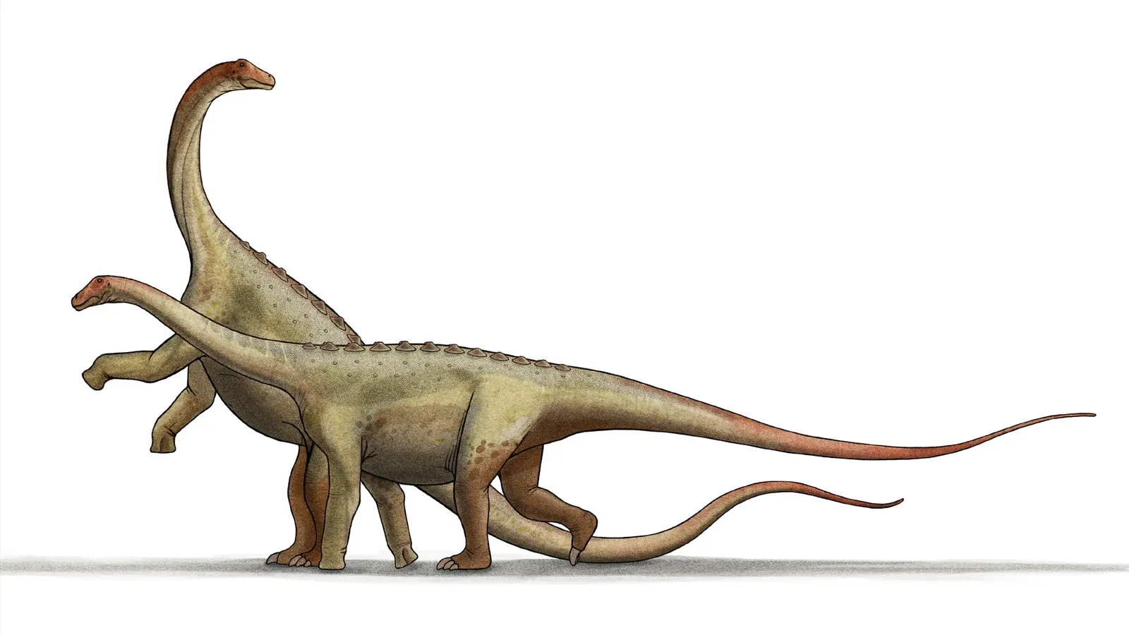 #2 - Evolution's Entire Timeline Would Instantly Make Sense Again (By LadyofHats Altered by Steveoc 86 and FunkMonk, Public domain)