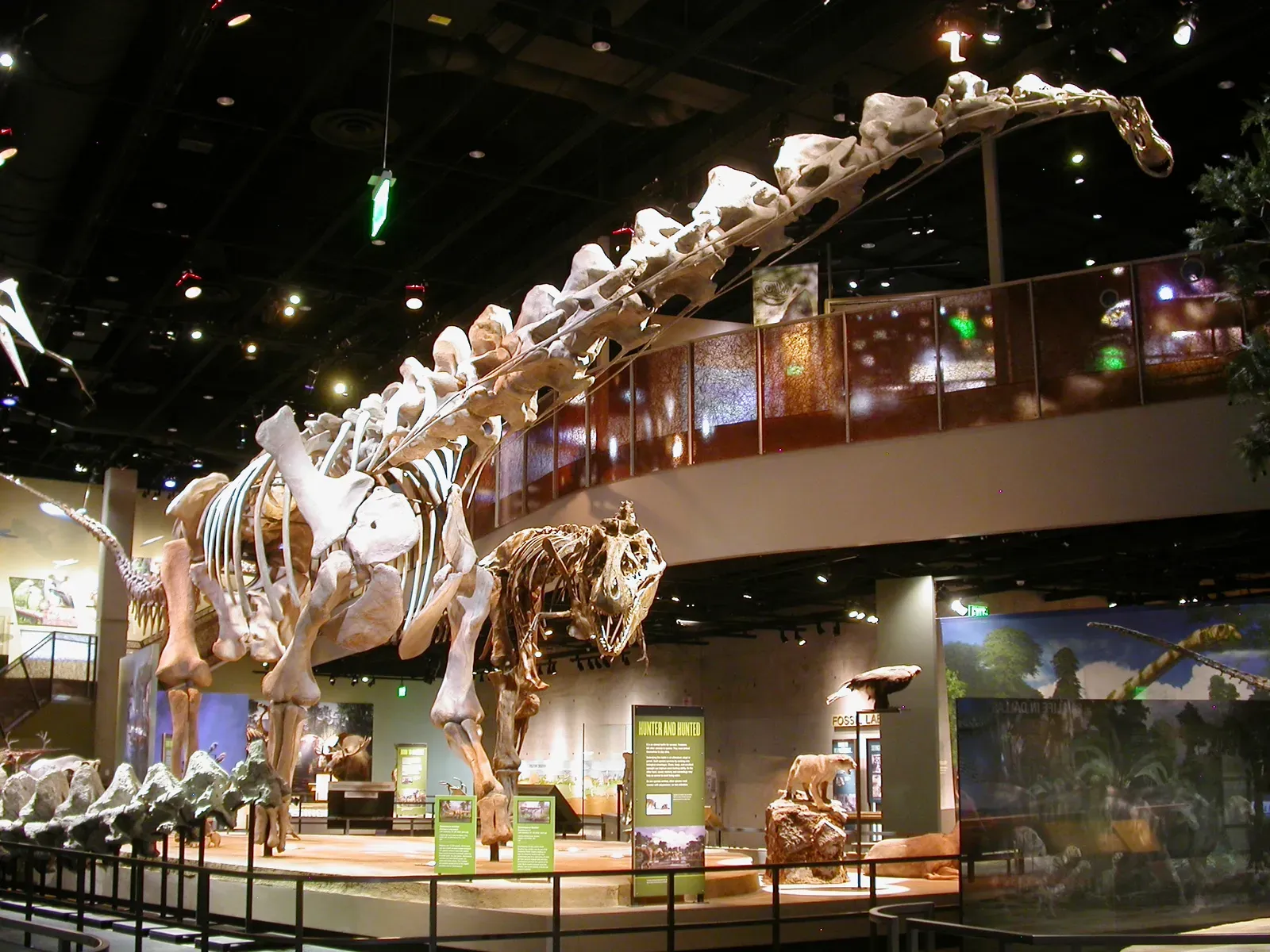 Alamosaurus: North America's Giant Titanosaur (Image Credits: Wikimedia)