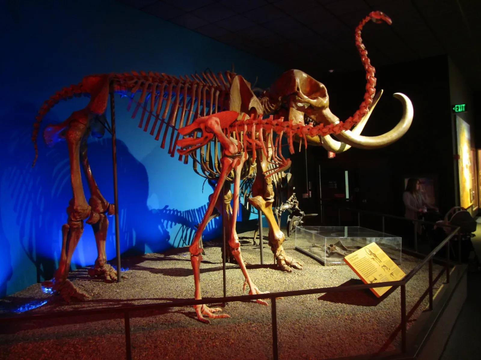 Conclusion (Image Credits: Wikimedia)