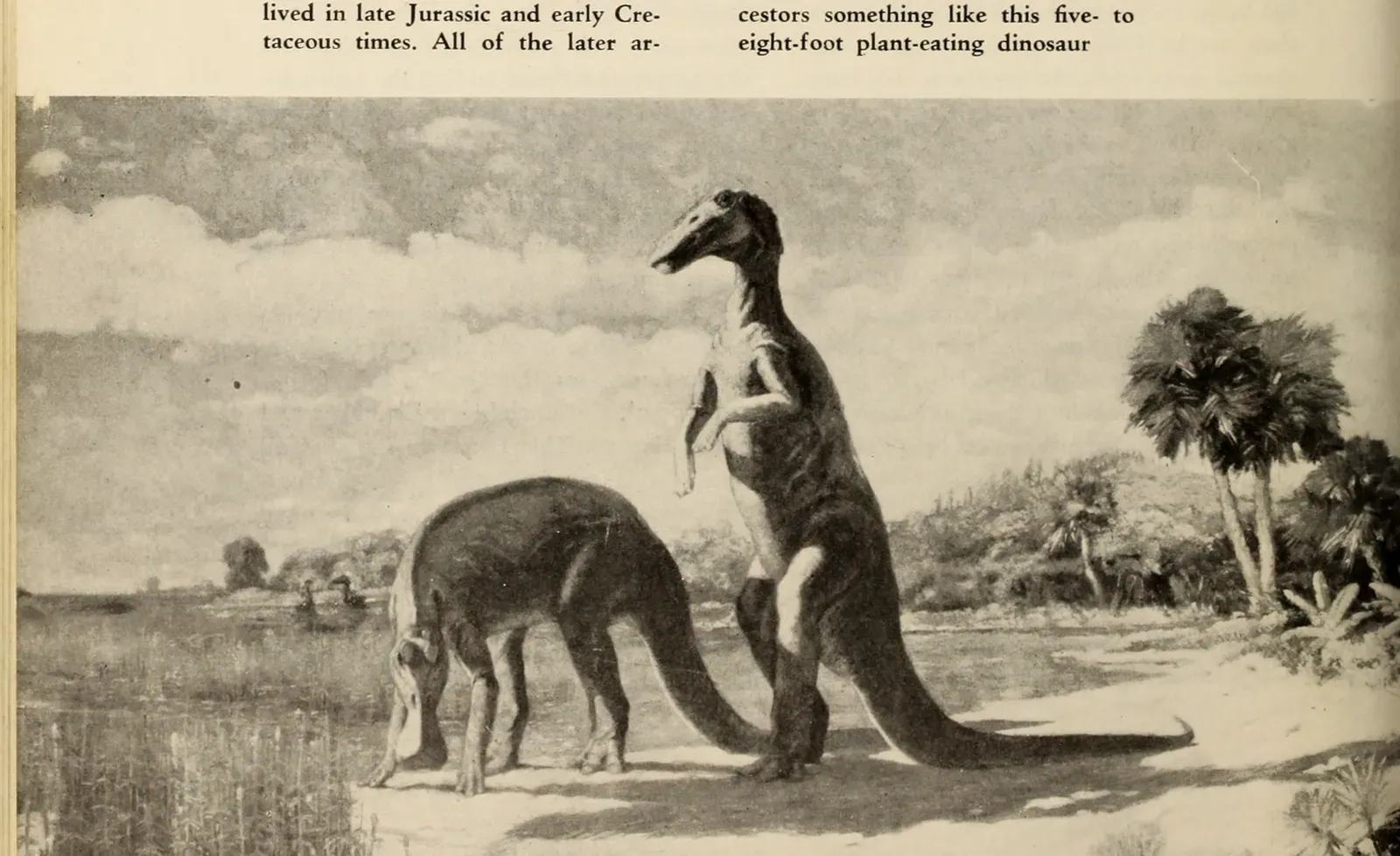 Conclusion: Why This All Matters More Than Nostalgia (By Internet Archive Book Images, No restrictions)