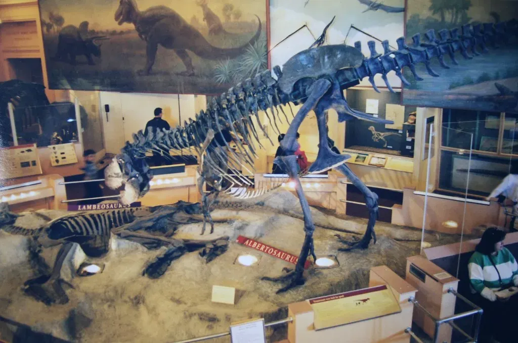 8. Albertosaurus: The Find That Opened Canada's Fossil Floodgates (Image Credits: Flickr)