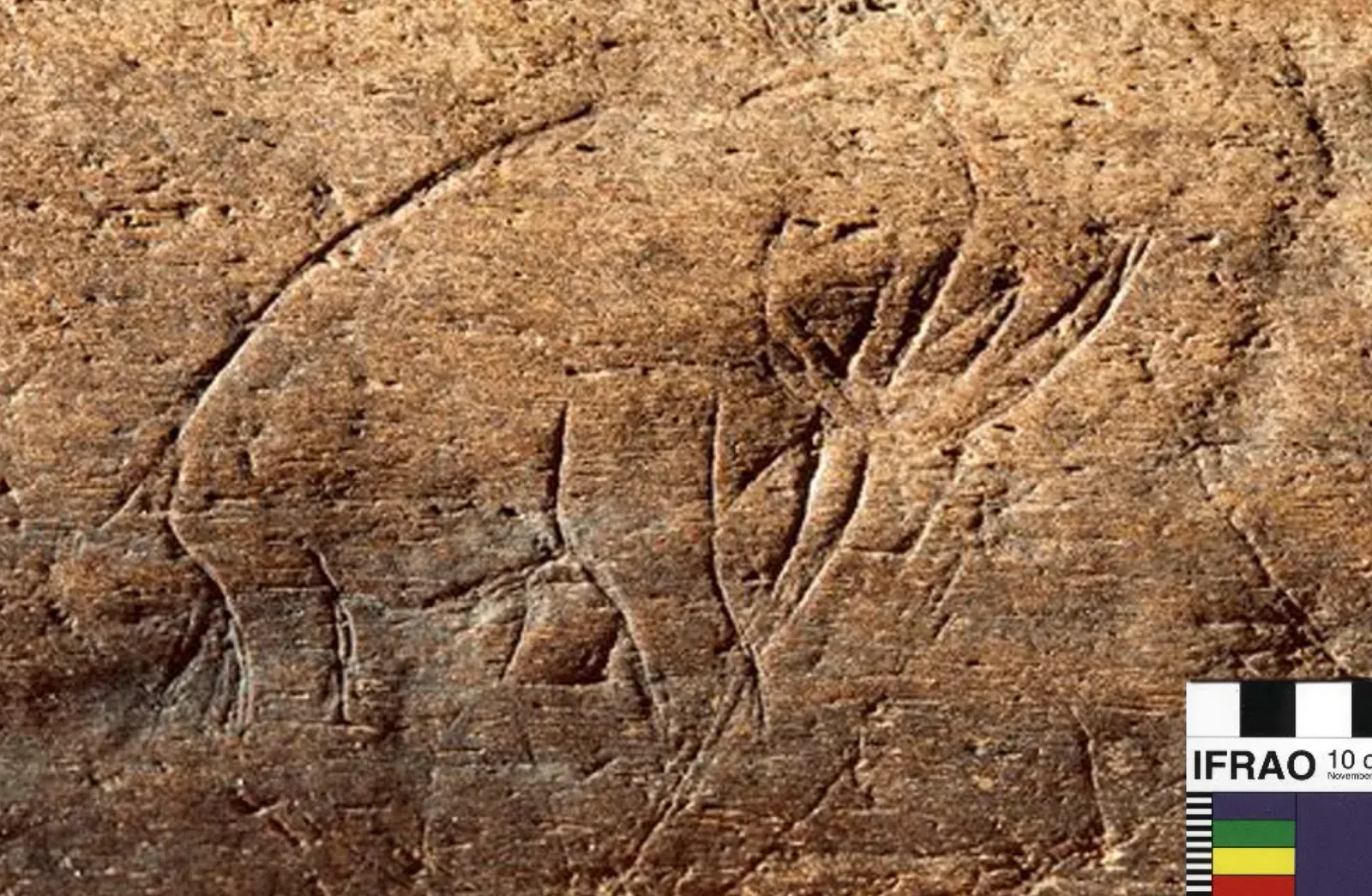 #8 - Home to Its Own Art, Weapons, and Symbols (By Robert G. Bednarik, CC BY 4.0)
