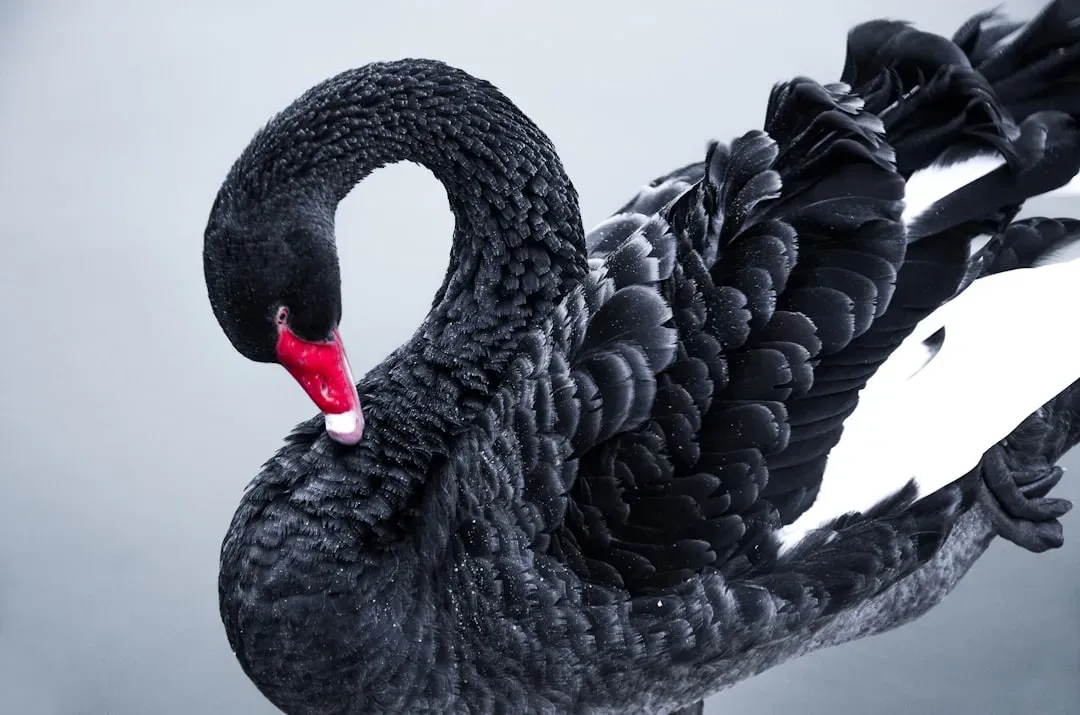 #2 - The Single Bird That Wrecked a Thousand Years of Confidence (Image Credits: Unsplash)