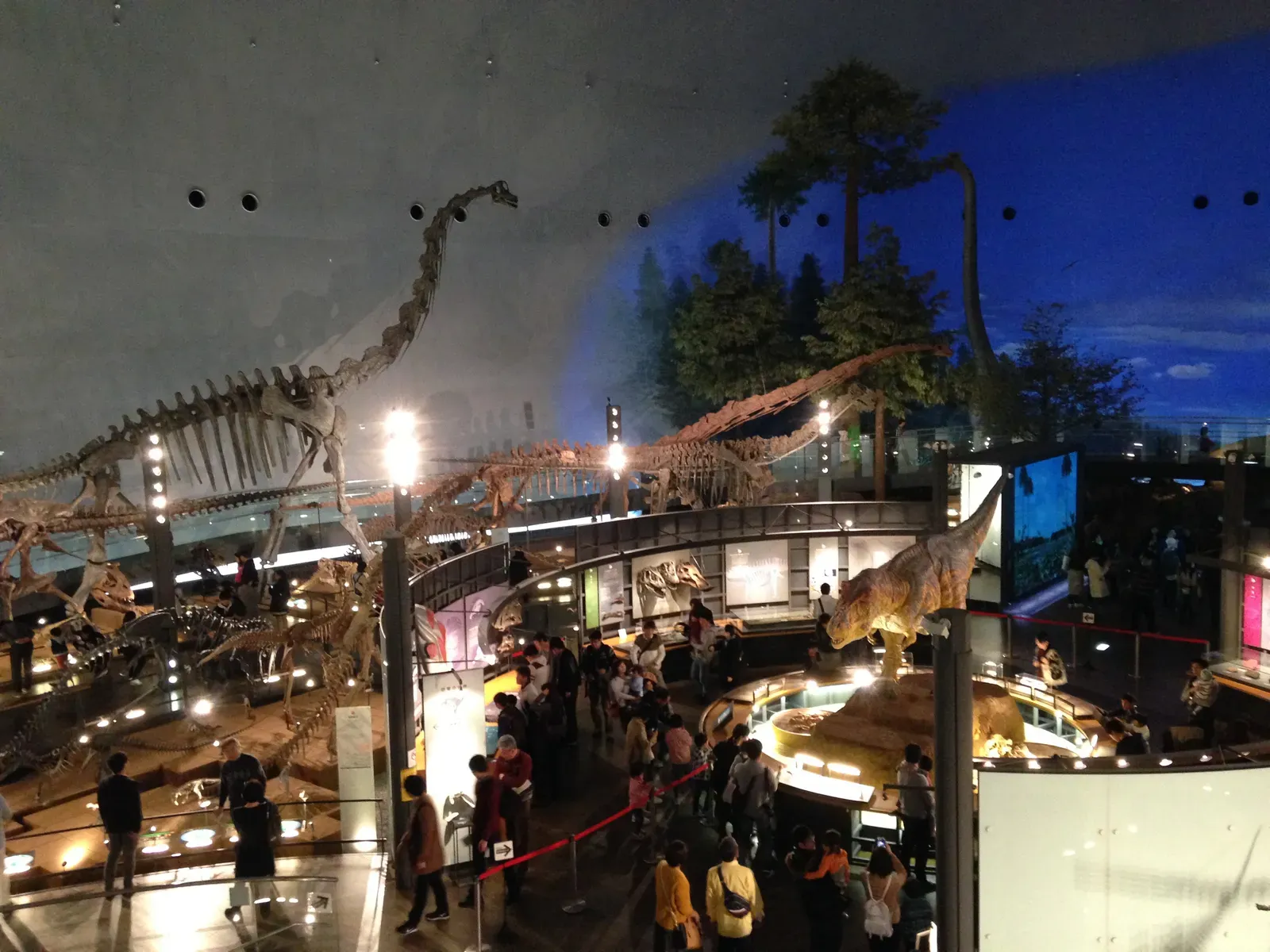 Fukui Prefectural Dinosaur Museum, Katsuyama, Japan (By Totti, CC BY-SA 4.0)