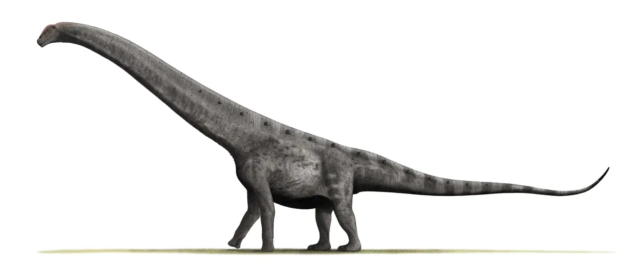 Argentinosaurus: The Land Giant That Defied Physics (Image Credits: Wikimedia)