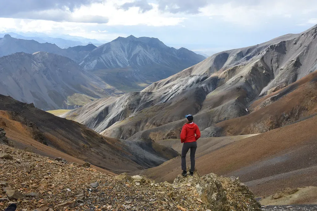 Denali National Park And Preserve, Alaska (Paxson Woelber, Flickr, CC BY 2.0)
